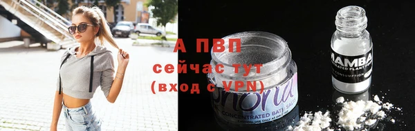 PSILOCYBIN Краснослободск