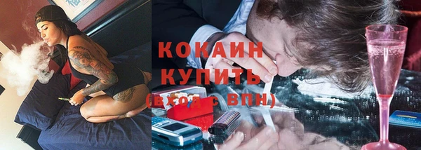 PSILOCYBIN Краснослободск