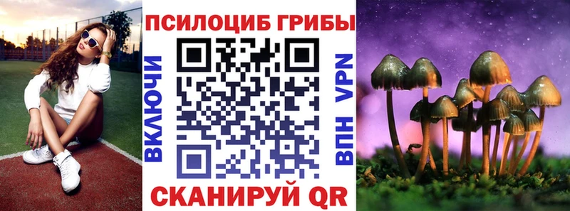 Псилоцибиновые грибы MAGIC MUSHROOMS  гидра рабочий сайт  Киров 